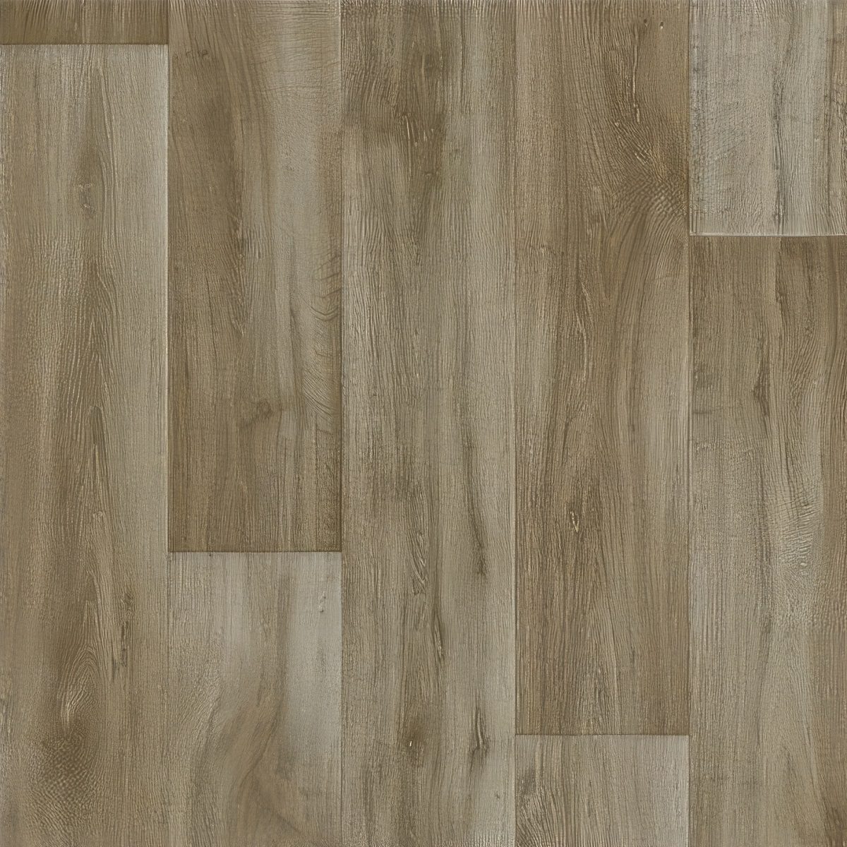 Lime Oak 690M