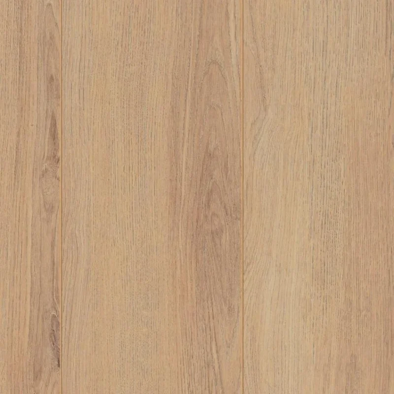 D80592 Norfolk Oak